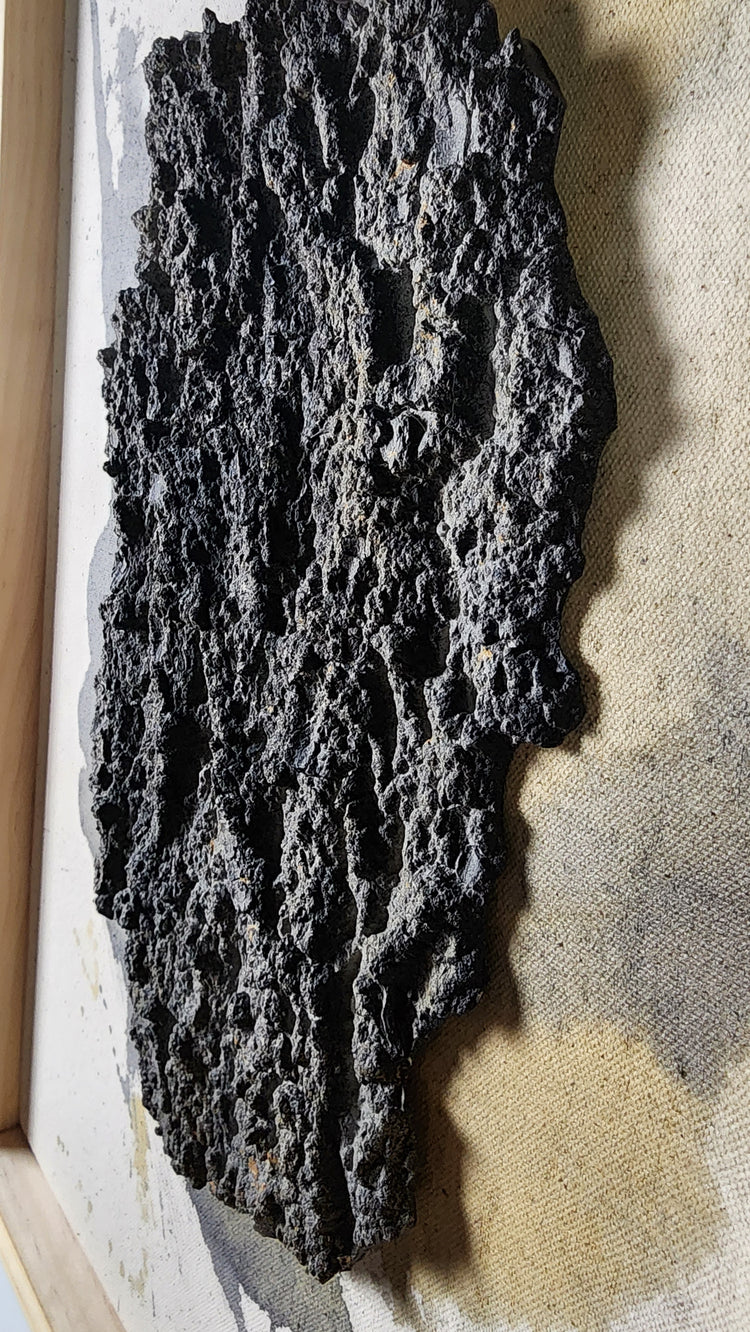 No.1 "Natural State Series"