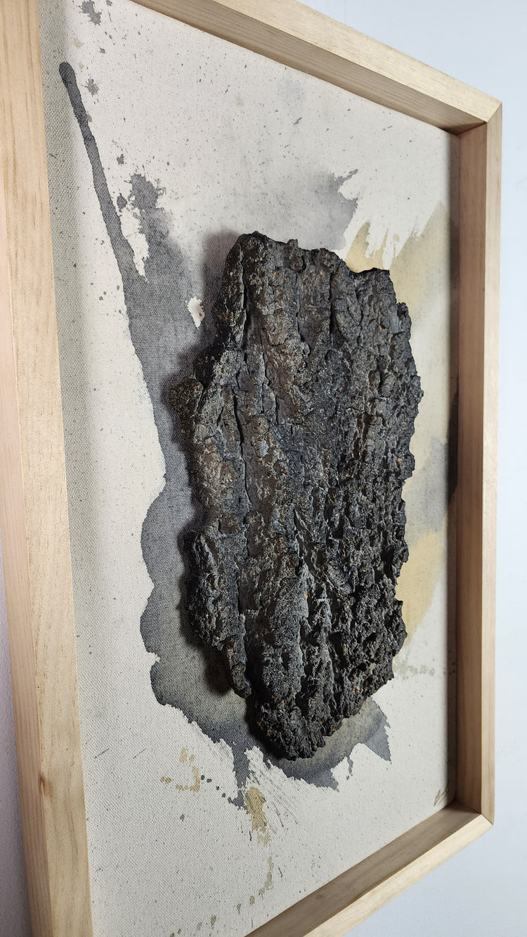 No.1 "Natural State Series"