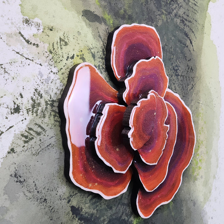 "Shroom of Life"
