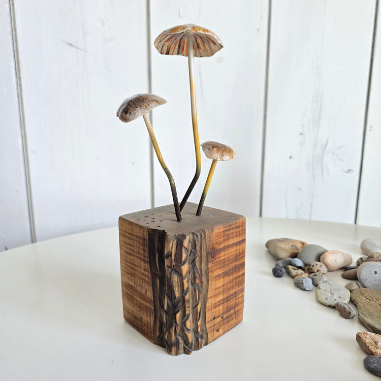 Shrooms no.3
