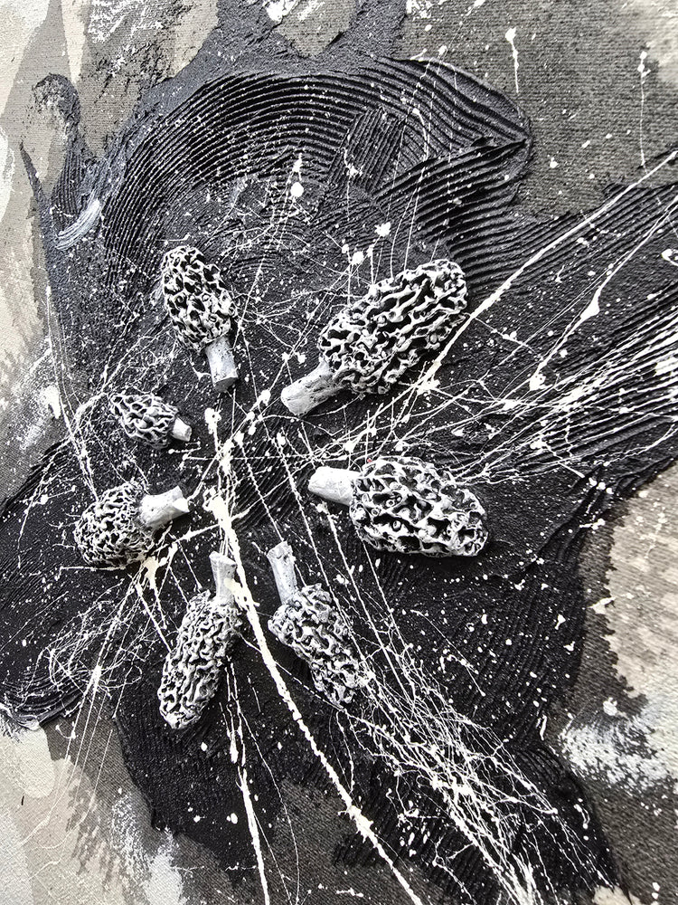 Mycelium Dreams