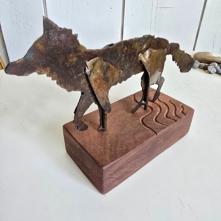 Coyote