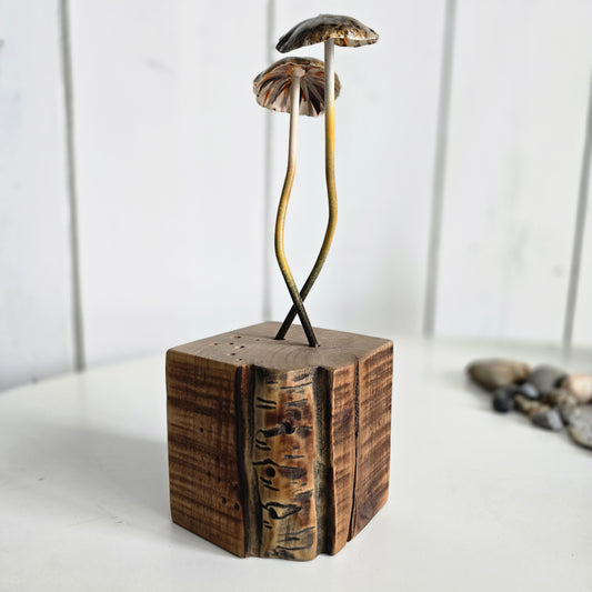 Shrooms no.4