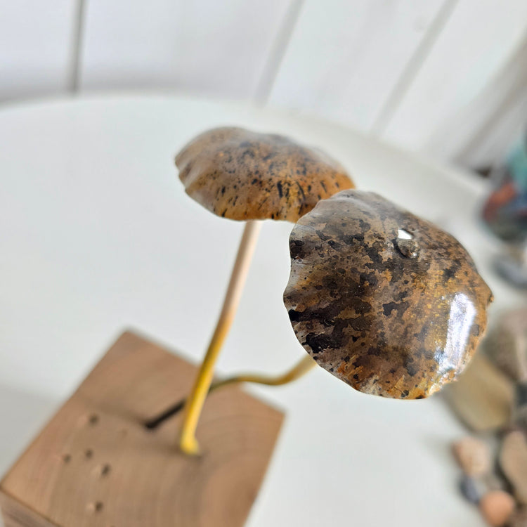 Shrooms no.4