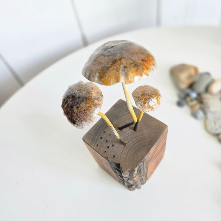 Shrooms no.3