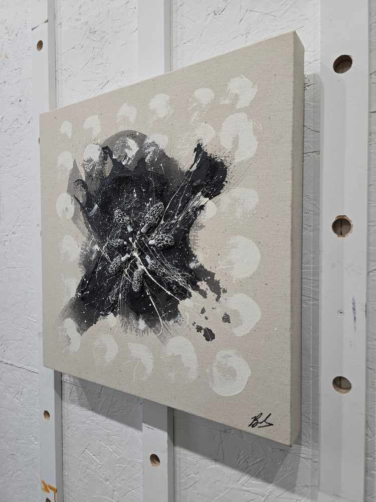Mycelium Dreams