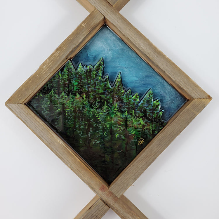 The Woods