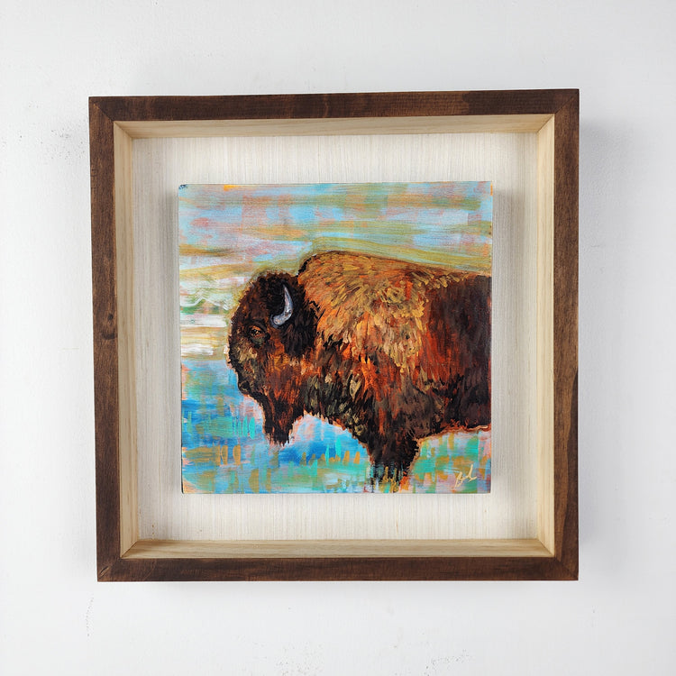 New wildlife series "Bison"