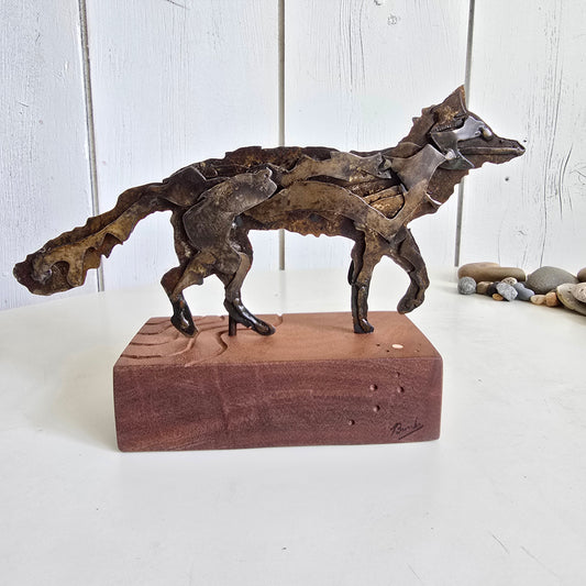 Coyote