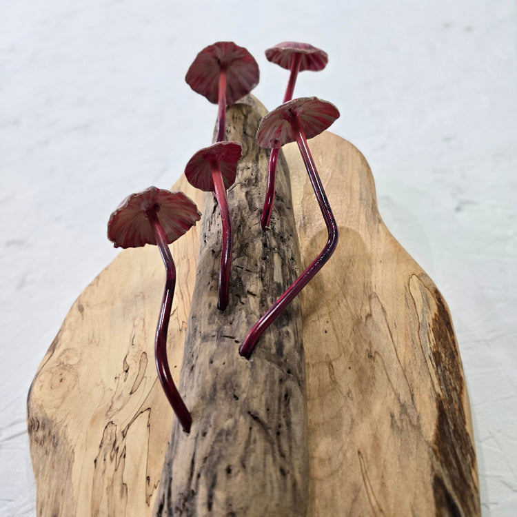 "Mushroom madness reds" Metal sculpture