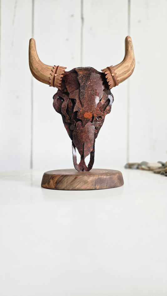 Bison skull