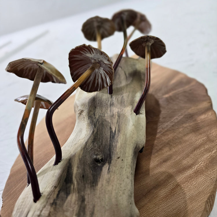 "Mushroom madness" Metal sculpture