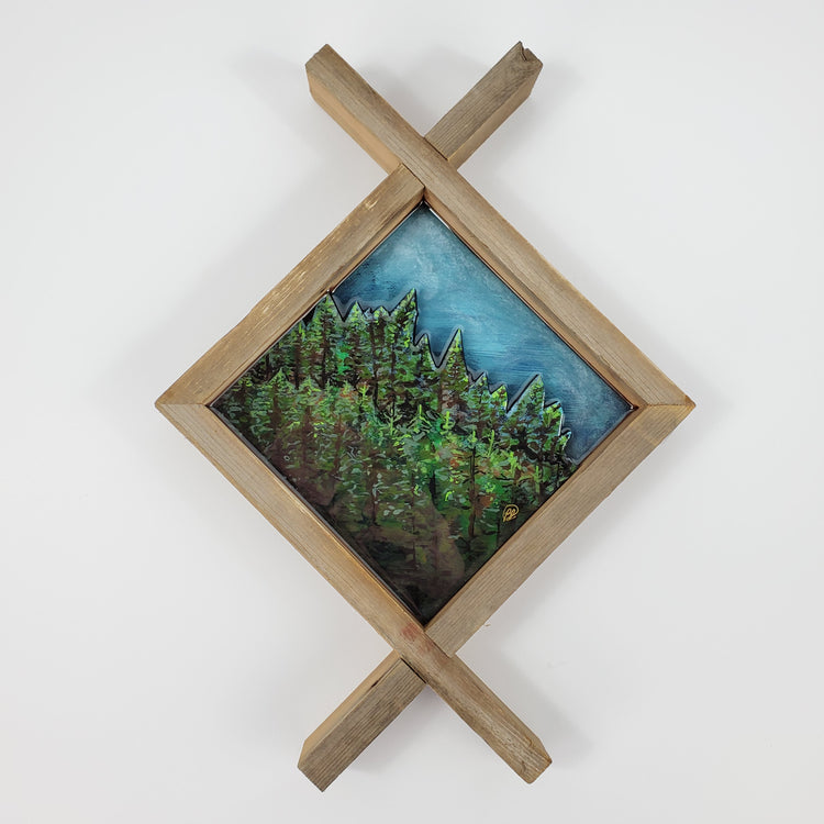 The Woods