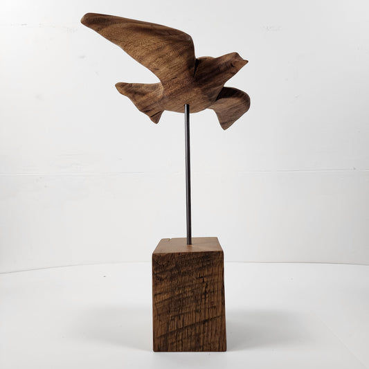 "The Soar"