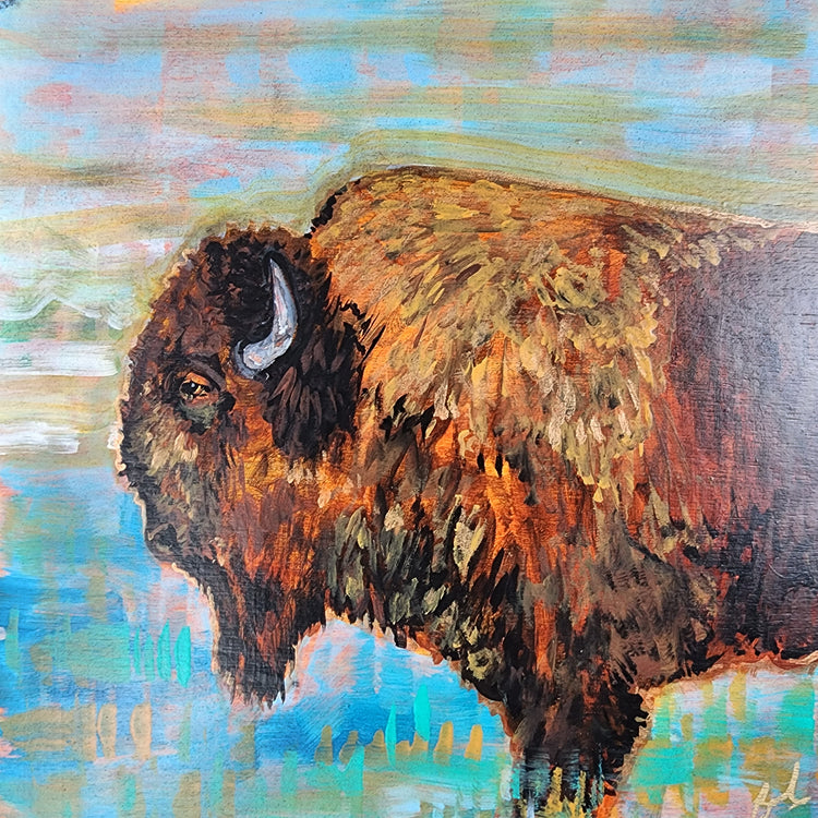 New wildlife series "Bison"