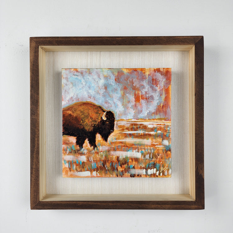 New wildlife series "Bison in field"