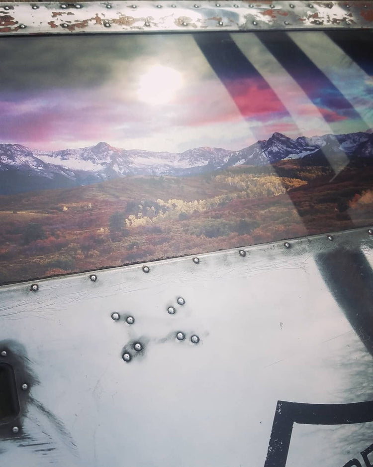 Vintage airplane door "Forest Service scene"
